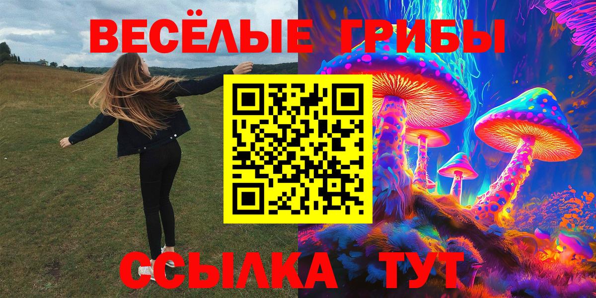 Псилоцибиновые грибы MAGIC MUSHROOMS  закладки  Звенигород  Вход с VPN 